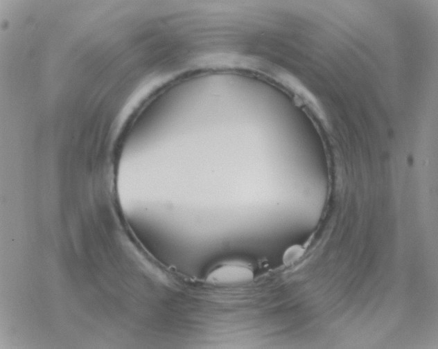 X0000077401376200611172053