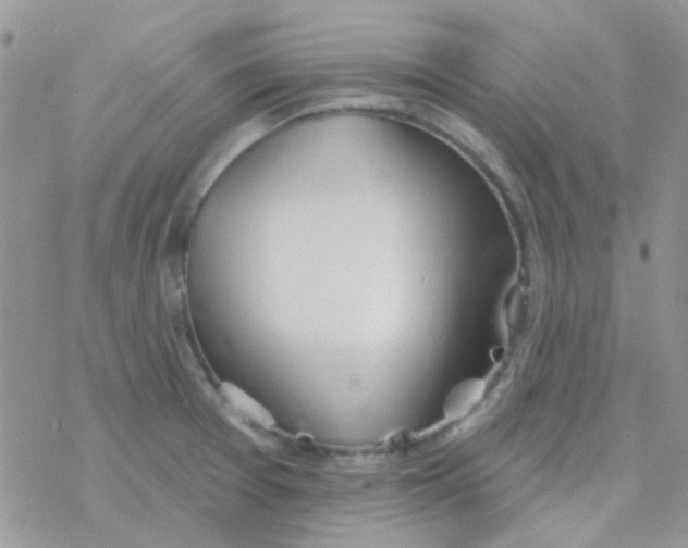 X0000077401377200611172053