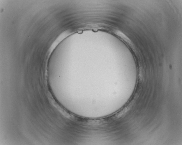 X0000077401378200611172053