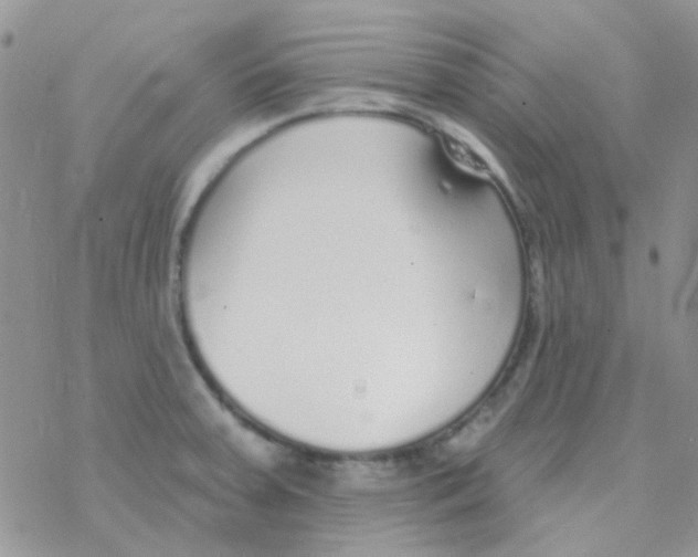 X0000077401379200611172053