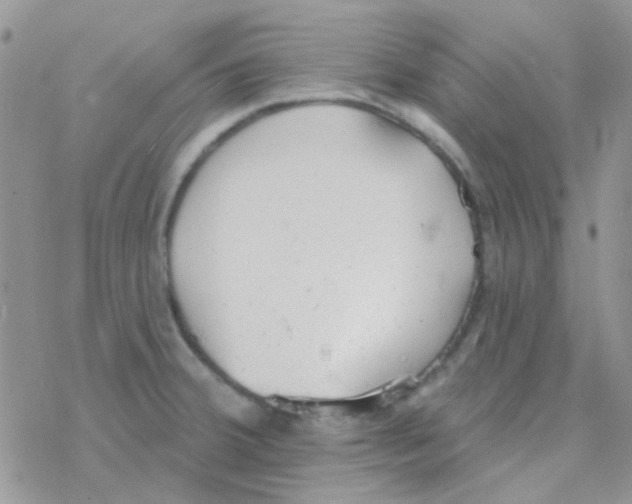 X0000077401380200611172053