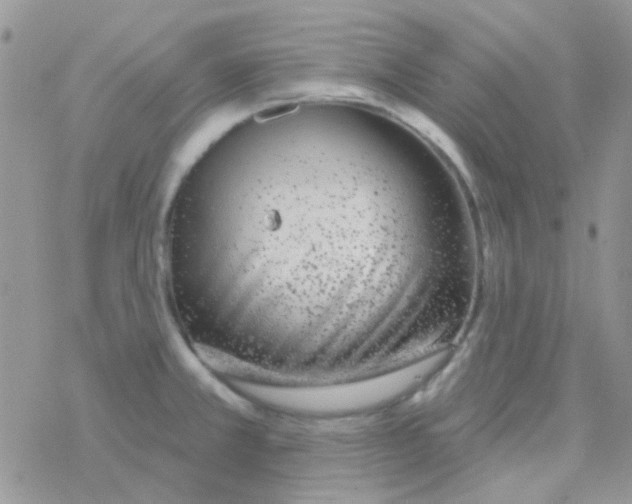 X0000077401381200611172053