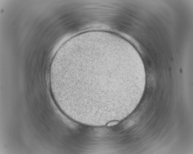 X0000077401383200611172053