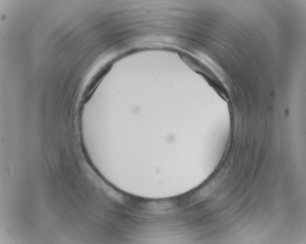 X0000077401384200611172053