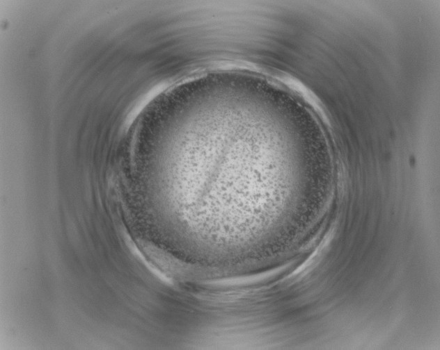 X0000077401385200611172053