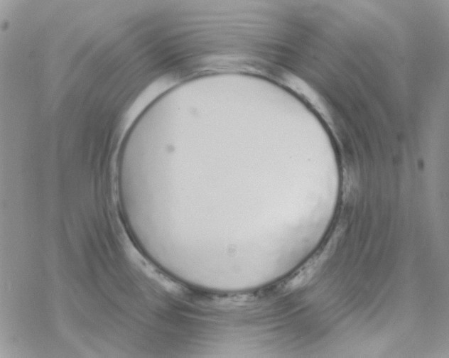 X0000077401386200611172053