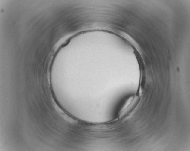 X0000077401388200611172053