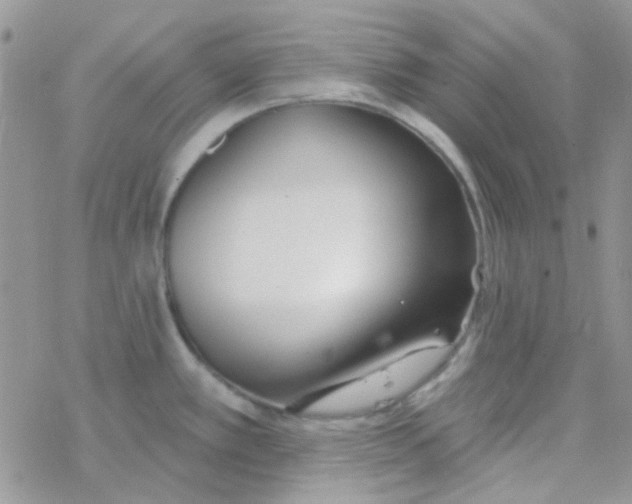 X0000077401389200611172053