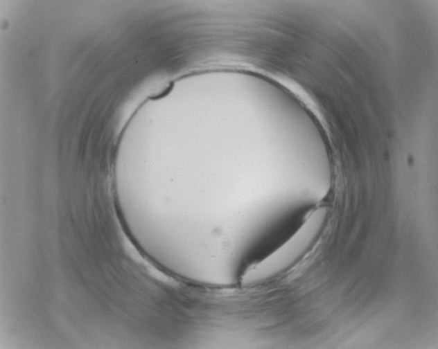 X0000077401390200611172053