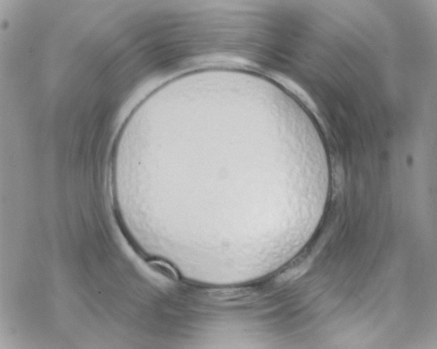 X0000077401391200611172053