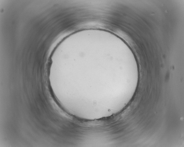 X0000077401392200611172053