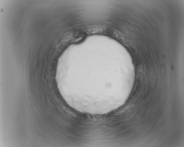 X0000077401393200611172052