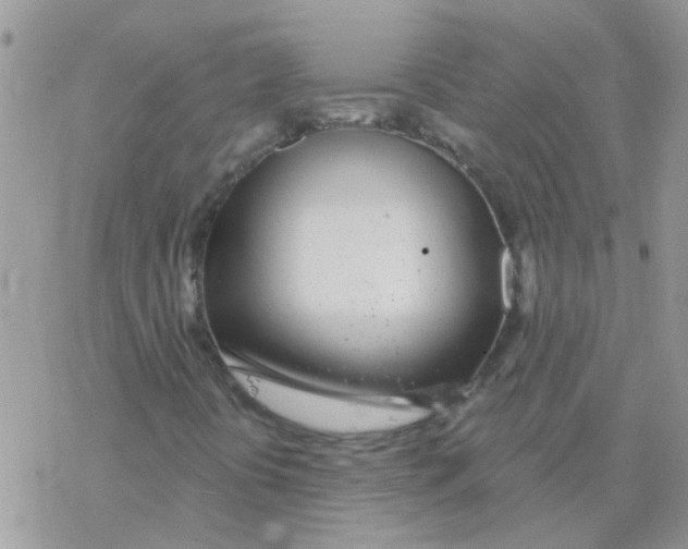 X0000077401394200611172052