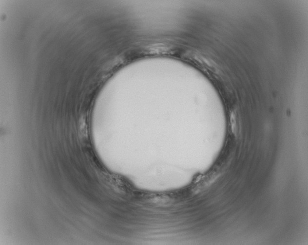 X0000077401395200611172052