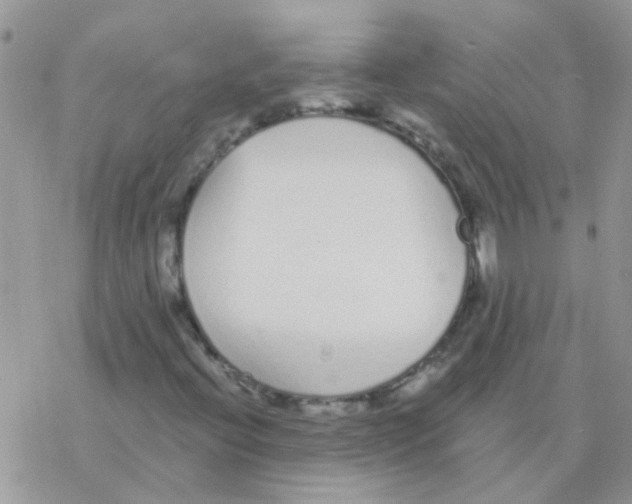 X0000077401396200611172052