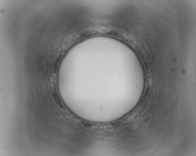 X0000077401397200611172052