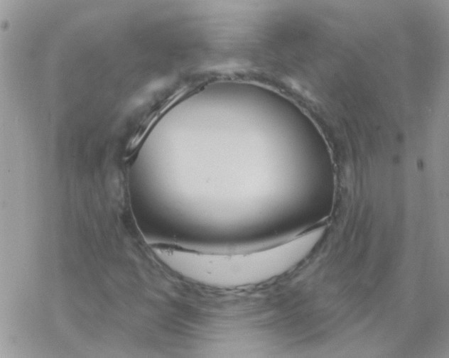 X0000077401398200611172052