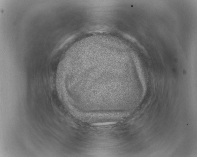 X0000077401399200611172052