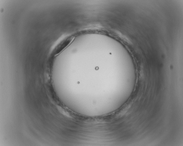 X0000077401400200611172052