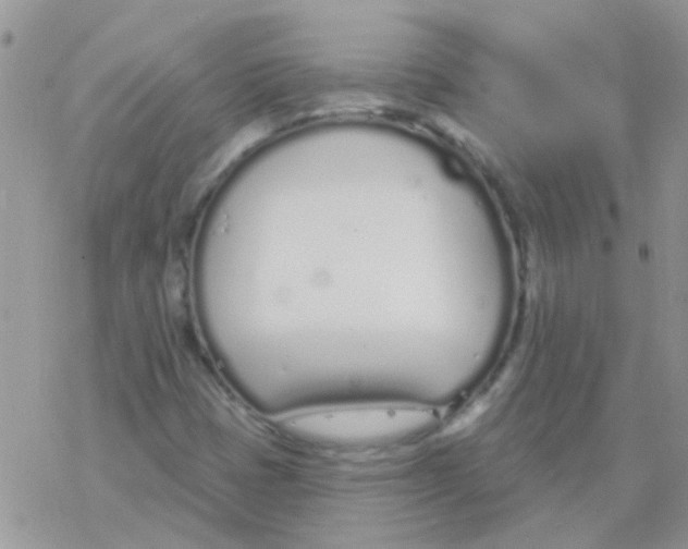 X0000077401401200611172052