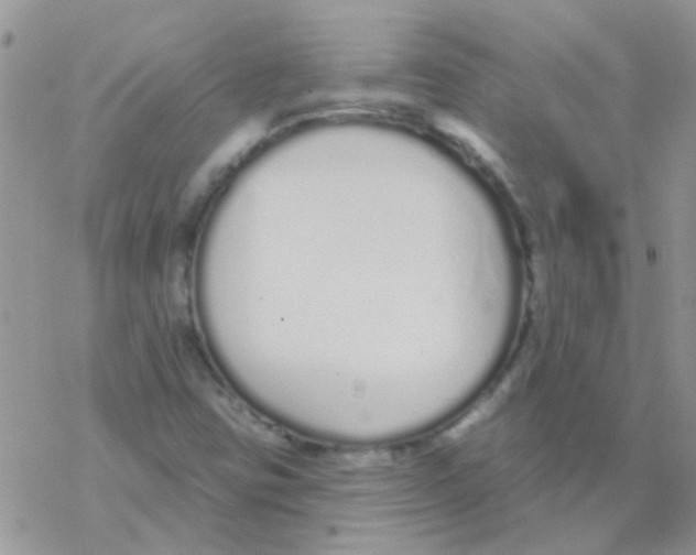 X0000077401403200611172052