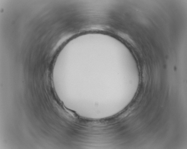 X0000077401404200611172052