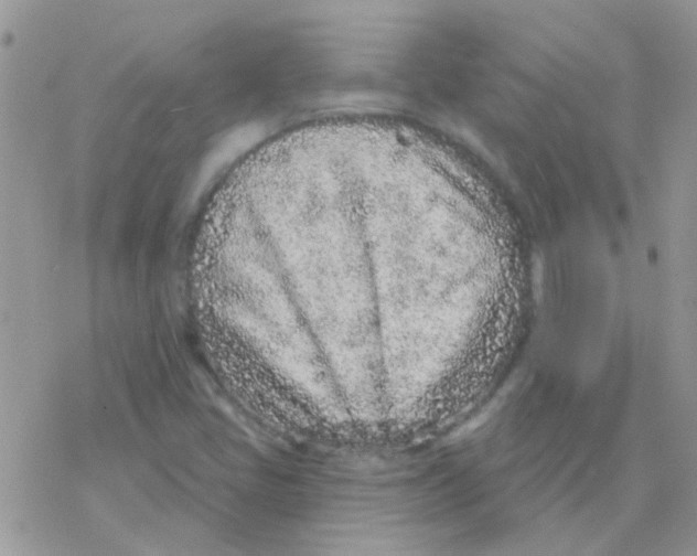 X0000077401405200611172052