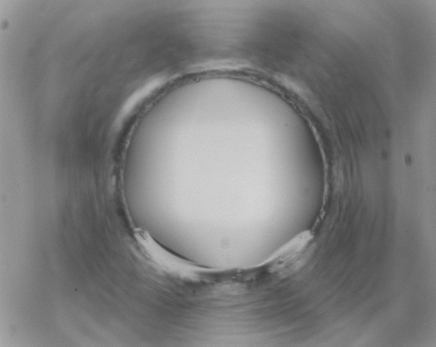 X0000077401406200611172052