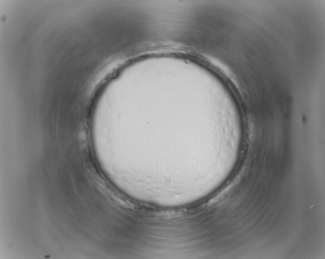 X0000077401407200611172052