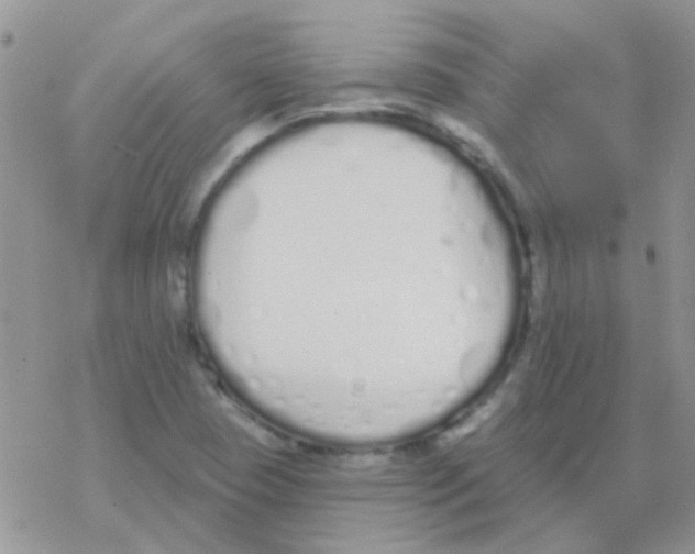 X0000077401409200611172052