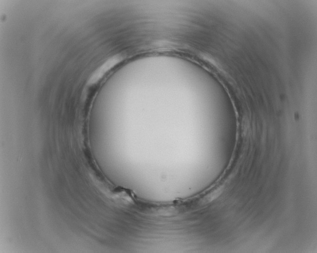 X0000077401410200611172052