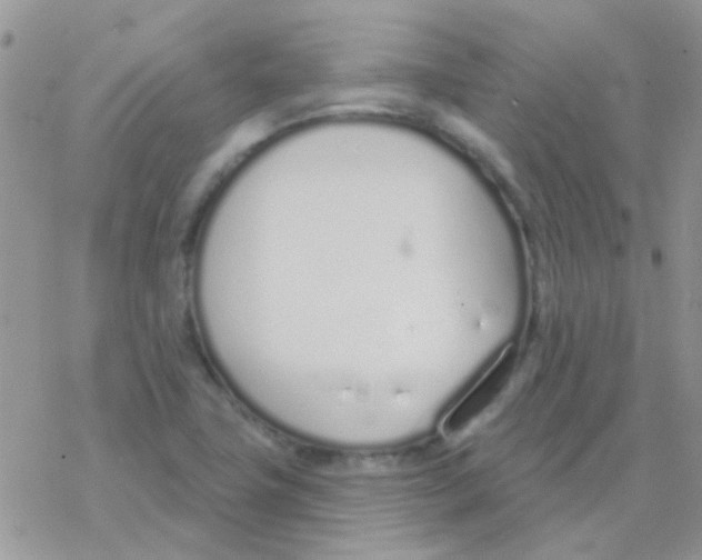 X0000077401411200611172052