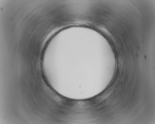 X0000077401412200611172052