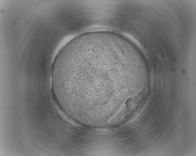 X0000077401413200611172052