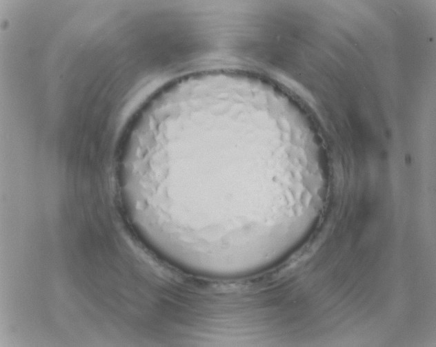 X0000077401415200611172052