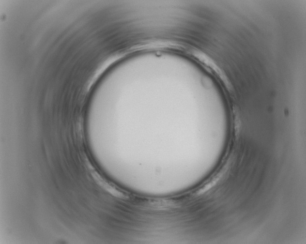 X0000077401417200611172052