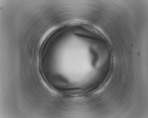 X0000077401418200611172053