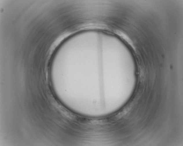 X0000077401419200611172053