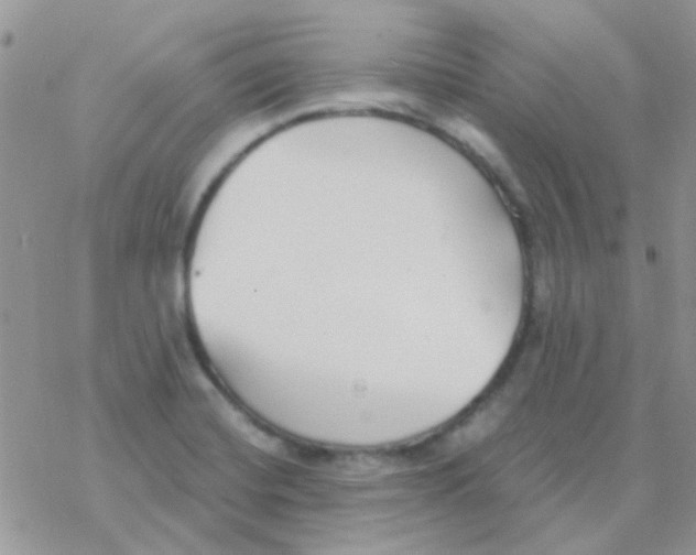 X0000077401420200611172053