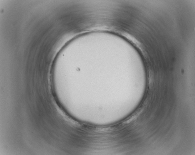 X0000077401423200611172053