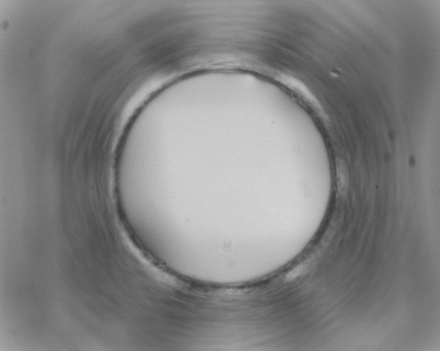 X0000077401424200611172053