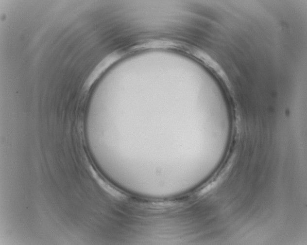 X0000077401425200611172053