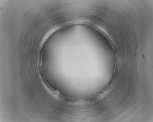 X0000077401426200611172053