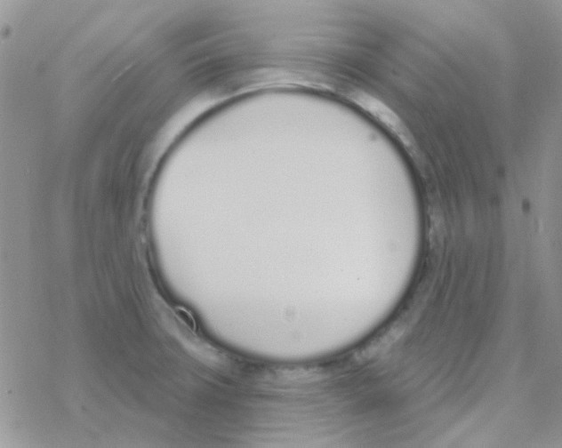 X0000077401427200611172053