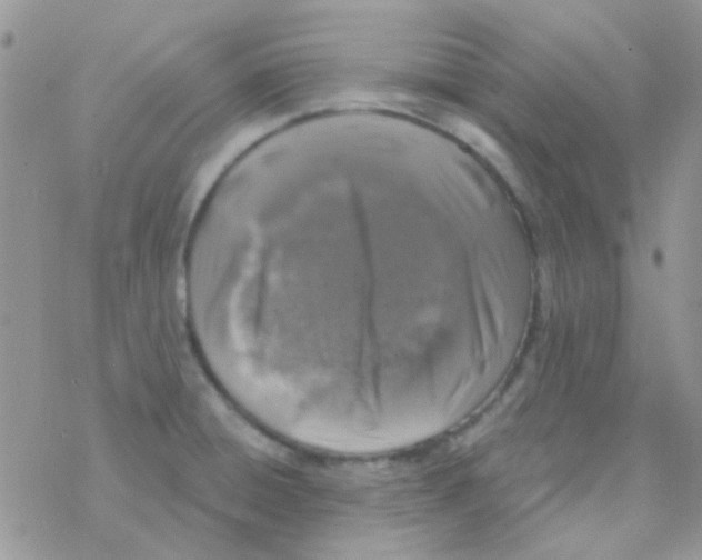 X0000077401428200611172053