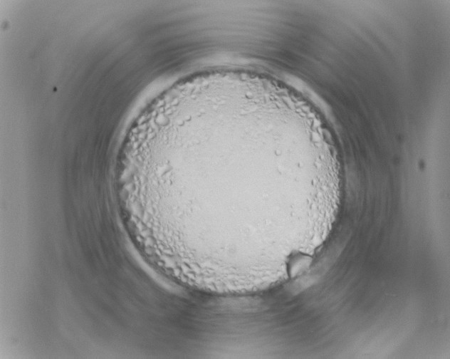 X0000077401429200611172053