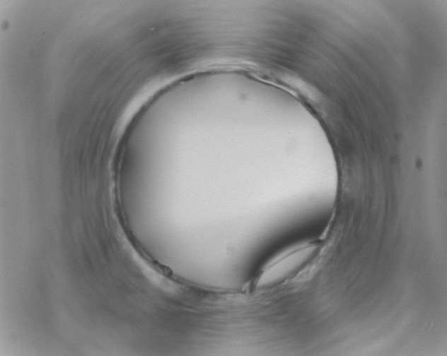 X0000077401430200611172053