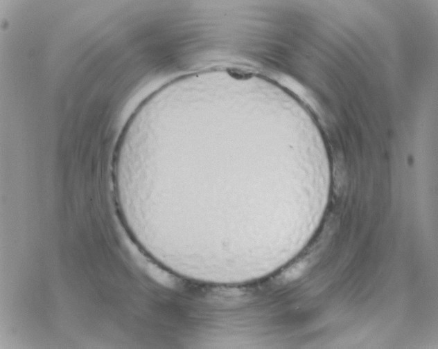 X0000077401431200611172053