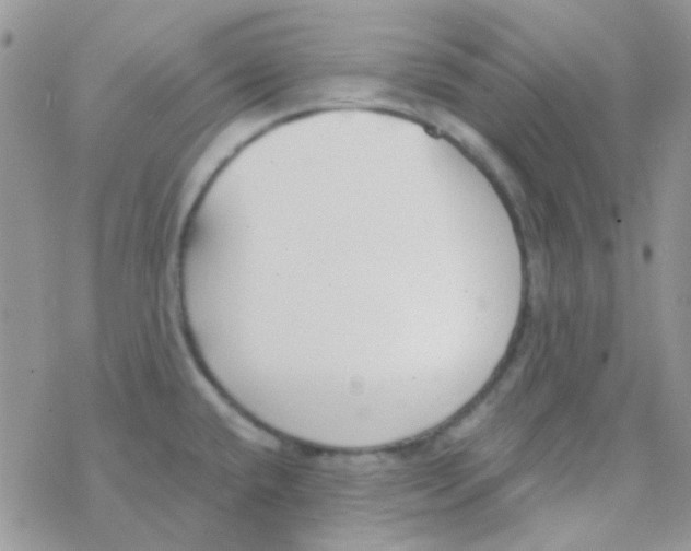 X0000077401432200611172053