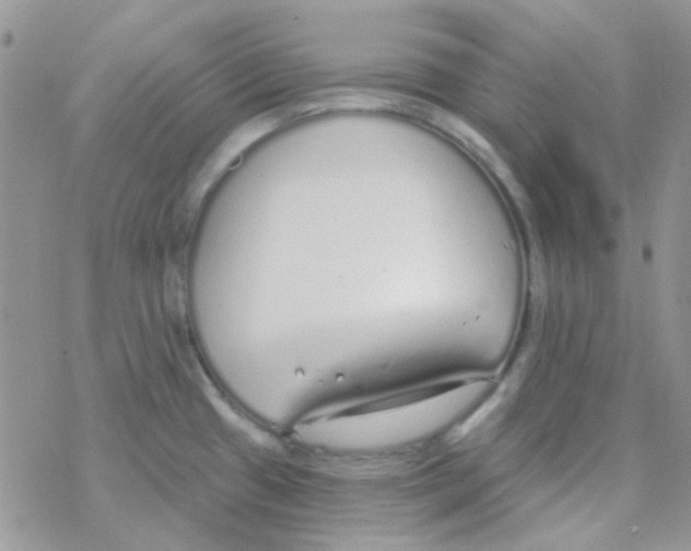 X0000077401433200611172053